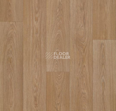 Линолеум Forbo Eternal Wood 13942 classic timber фото 1 | FLOORDEALER